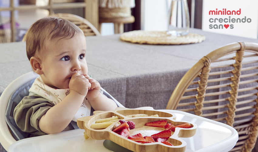 Baby Led Weaning sin miedos - Alimentación complementaria